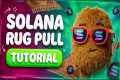Looking at a Solana Meme Coin Launch