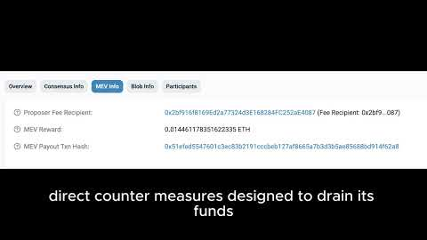 A Bot Used $866,000 to Attack Vitalik Buterin's $3 Swap