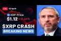 🚨 XRP CRASH WARNING! Ripple XRP News,