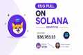 Rug Pull Solana : How to Launch a